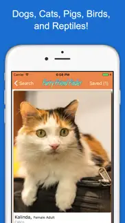 furry friend finder pet rescue iphone images 2