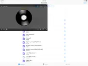 aplayer - alook player ipad images 3