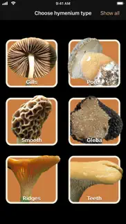 fungi iphone capturas de pantalla 1