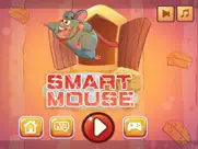 smart mouse puzzle ipad images 1