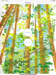 shinrin-yoku - forest bathing ipad images 1