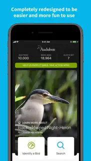 audubon bird guide iphone images 1