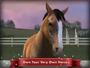 my horse ipad images 1