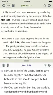 matthew henry study bible iphone images 2
