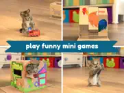 little kitten favorite pet cat ipad images 1