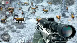 deer hunting sniper 3d iphone images 3