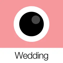 analog wedding logo, reviews
