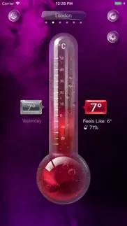digital thermometer app iphone images 3