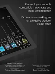 audiobus: mixer for music apps ipad images 2