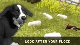 silly sheep run- farm dog game iphone images 2