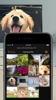 smartcast - tv mirror айфон картинки 3