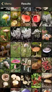 ifungi au - mushrooms id iPhone Captures Décran 3