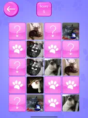 cute cats memory match game ipad images 1
