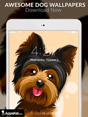 dog wallpapers- hd backgrounds ipad images 1