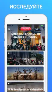 american museum of nat history айфон картинки 3
