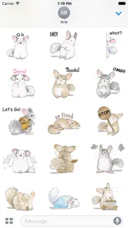 adorable chinchilla sticker iphone images 3