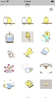 lovely budgie animated sticker iphone images 2