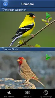 bird song id usa songs & calls iphone images 3