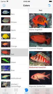 scuba fish hawaii iPhone Captures Décran 2