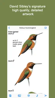 sibley guide to hummingbirds iphone images 2