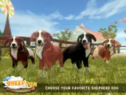 silly sheep run- farm dog game ipad images 3