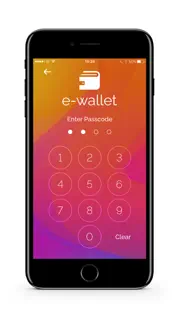 e-wallets iphone images 3