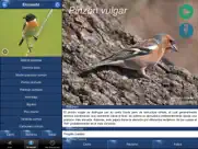 cantos de aves id ipad capturas de pantalla 4
