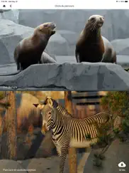 parc zoologique de paris iPad Captures Décran 1