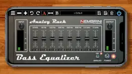 analog rack bass equalizer iphone resimleri 1