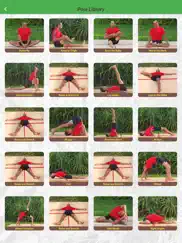 yoga virtuoso with lyndon ipad images 2
