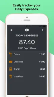 daily spending-my cost tracker iphone images 1