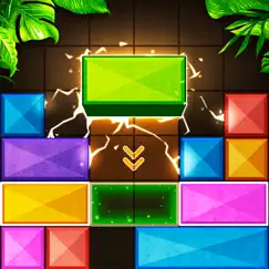 wooden blast - block puzzle logo, reviews