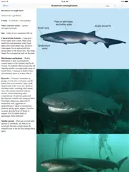 eguide to sharks and rays ipad resimleri 1