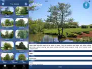 tree id identify uk trees iPad Captures Décran 1
