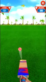 knock knock cricket 2019 iphone images 3