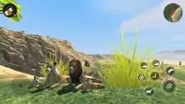 wild lion survival simulator iPhone Captures Décran 1