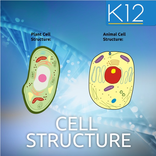Biology Cell Structure app reviews download