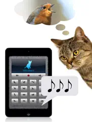 human-to-cat translator ipad resimleri 3