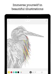 colouring adventures iPad Captures Décran 2