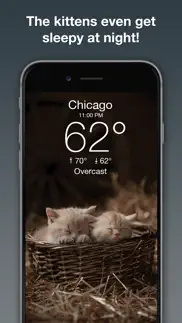 weather kitty: weather + radar iphone images 4