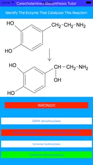 catecholamines synthesis tutor iphone images 3