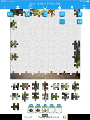 infinite jigsaw puzzle ipad images 2