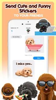 toy poodle dog emojis stickers iphone images 4