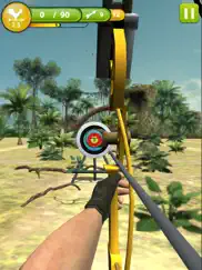 archery master 3d - top archer ipad images 2