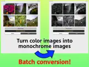convert images to monochrome ipad images 1