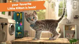 little kitten adventure games iphone images 1
