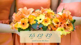 wedding countdown iphone images 4