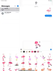 flamingo birdy stickers ipad images 1