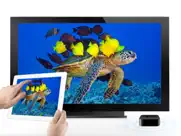 aquarium 4k iPad Captures Décran 1