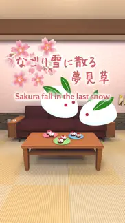 sakura fall in the last snow iphone images 1
